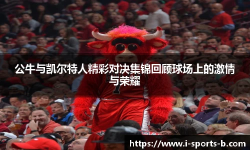 b体育官网